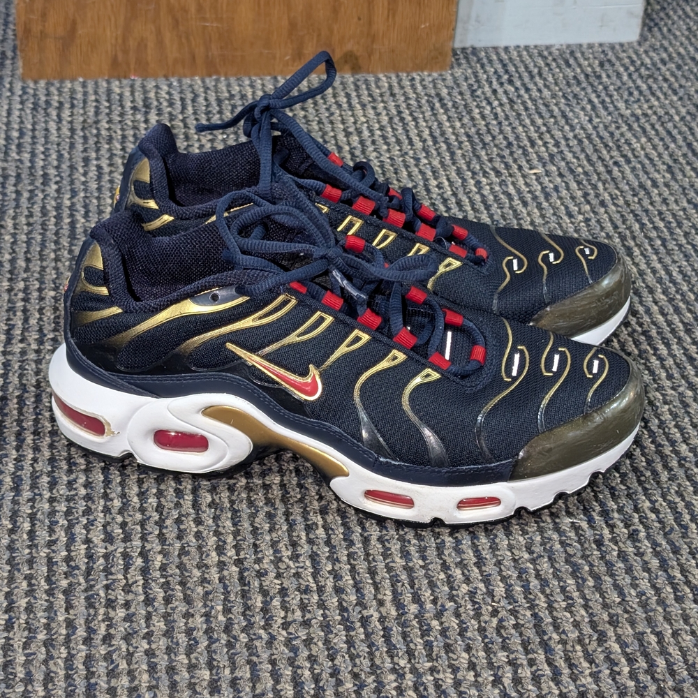 Nike Air Max Plus in Dark Blue and Metallic Gold